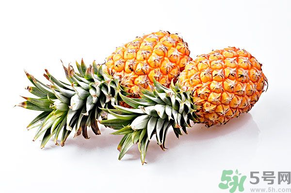 芒果和菠蘿能一起吃嗎？芒果和菠蘿一起吃好嗎？