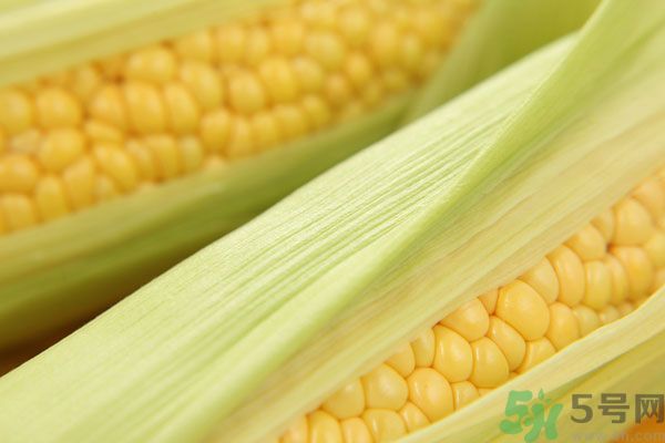 哺乳期能吃玉米回奶嗎？產(chǎn)婦吃玉米會回奶嗎？