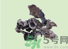 高血壓可以吃黑木耳嗎？木耳降血壓的做法有哪些？