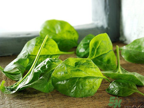 缺鐵有什么癥狀和危害？含鐵高的食物有哪些？