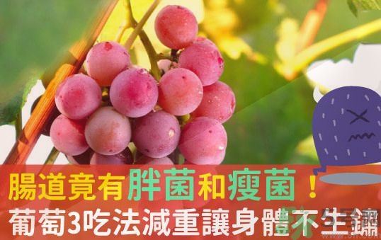 吃葡萄可以不吐葡萄籽嗎？吃葡萄皮好不好？