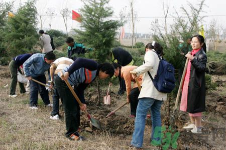 植樹節(jié)是幾月幾日？植樹節(jié)可以做些什么活動(dòng)？