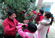 植樹節(jié)是幾月幾日？植樹節(jié)可以做些什么活動？