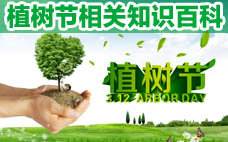 植樹節(jié)可以種什么花？植樹節(jié)種什么花好？