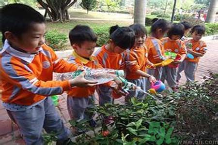 如何提高植樹的成活率？植樹節(jié)種樹要注意哪些細(xì)節(jié)？