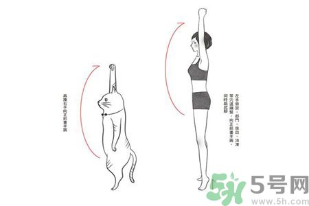 電腦族肩膀痛疼怎么辦？肩膀痛疼怎么解決？