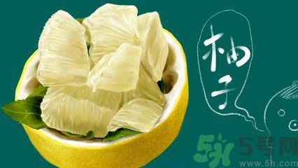 多吃柚子能減肥嗎？怎樣吃柚子才健康？