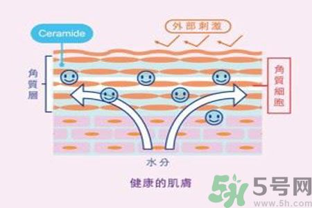 皮膚炎癢是怎么回事？皮膚炎發(fā)作怎么治療？