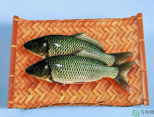 孕婦吃什么魚對胎兒好？孕婦吃什么魚最好？