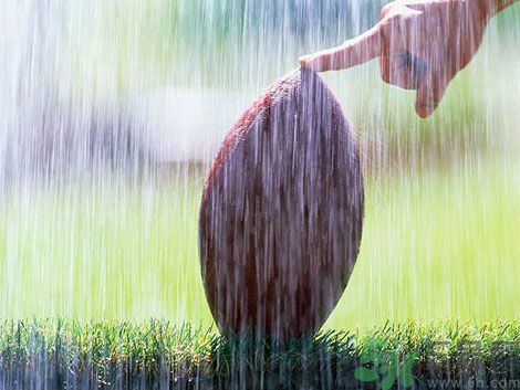 濕氣重的癥狀？怎么去除體內(nèi)的濕氣？