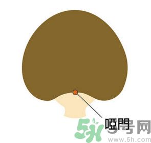臉總是腫腫的怎么辦？臉有點(diǎn)浮腫怎么消腫？
