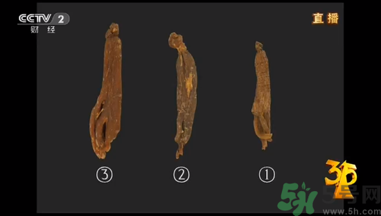 紅參怎么挑選？紅參摻糖怎么辯解？