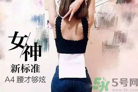 B5腰圍比A4腰圍更好？B5腰是什么意思？