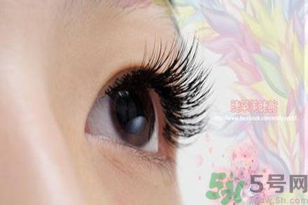 種睫毛的危害有哪些？種睫毛能保持多久？
