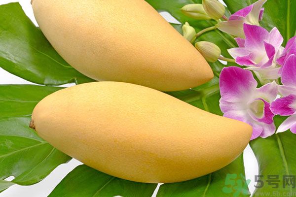 吃芒果嘴唇過敏怎么辦？為什么吃了芒果后嘴巴癢？