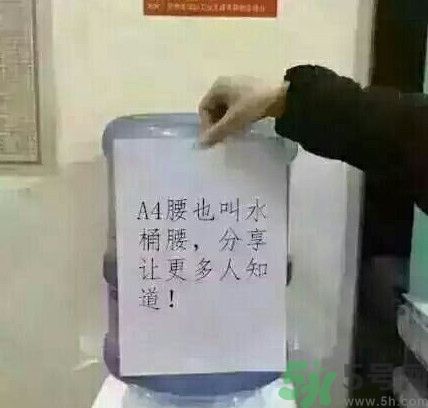 a4腰也叫水桶腰是什么意思？a4腰也叫水桶腰圖片？ 