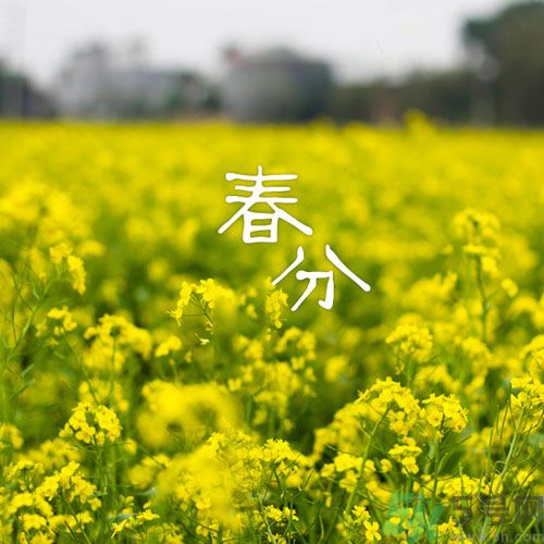 春分時養(yǎng)生要注意什么？春分要預(yù)防哪些疾??？