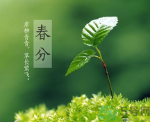 春分時養(yǎng)生要注意什么？春分要預(yù)防哪些疾??？