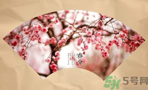 春分時養(yǎng)生要注意什么？春分要預(yù)防哪些疾?。?></p><h4>春分注意五更晨瀉</h4><p>1，春分本來應(yīng)是陰陽平衡的時期，但陽虛之體，陽弱不能與陰平衡，于是陽虛的本質(zhì)更易顯露出來，所以常發(fā)生五更瀉又叫雞鳴瀉，特點是餐泄，就是完谷不化的腹泄。</p><p>2，舌苔白，脈沉而弱，怕冷，腰以下發(fā)涼者可吃附子理中丸或金匱腎氣丸，以溫中扶陽。平時可常用干姜燉湯或吃干姜燉雞湯。</p><h4>春分應(yīng)注意腹痛腹瀉</h4><p>1，因春天風(fēng)大，中醫(yī)認為風(fēng)木克脾土，平素脾虛舌苔白好拉肚子的，更易出現(xiàn)腹痛腹瀉，其特點是腹痛明顯。</p><p>2，養(yǎng)生的辦法是大風(fēng)天，少到戶外受風(fēng)，可在醫(yī)生指導(dǎo)下服用理中丸。</p><p>3，春分前后，要防止受涼。</p><p><span style=
