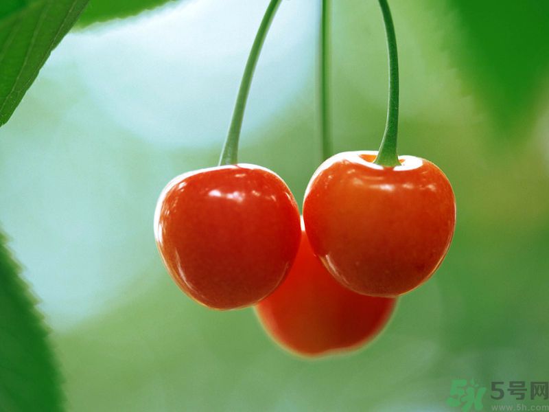 春分時(shí)節(jié)養(yǎng)生吃什么水果好？那些水果可以春天吃？