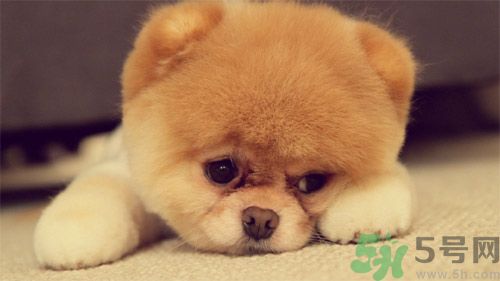 睡覺(jué)能戴手表嗎？睡覺(jué)不能帶的東西有哪些？