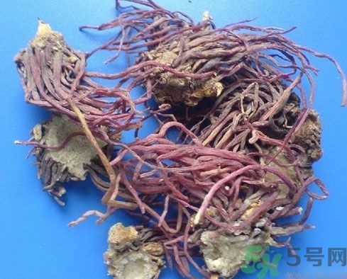 紫菀的功效和作用是什么？紫菀的用法用量是多少？