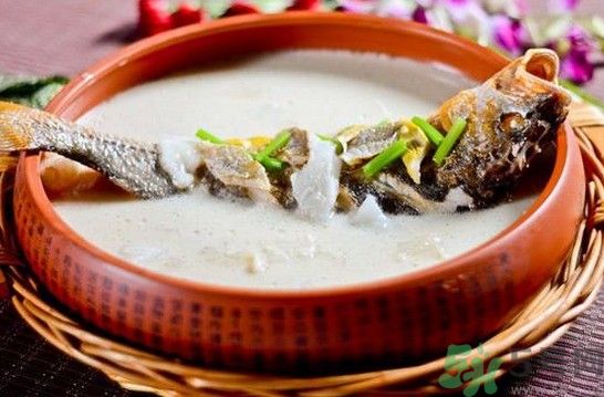 煲魚(yú)湯怎么去腥？家常魚(yú)湯做法有哪些？
