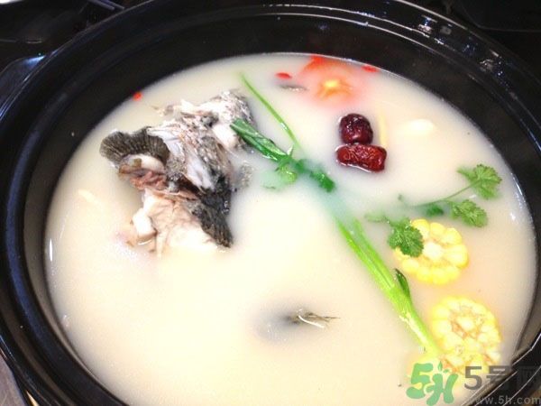 煲魚(yú)湯怎么去腥？家常魚(yú)湯做法有哪些？
