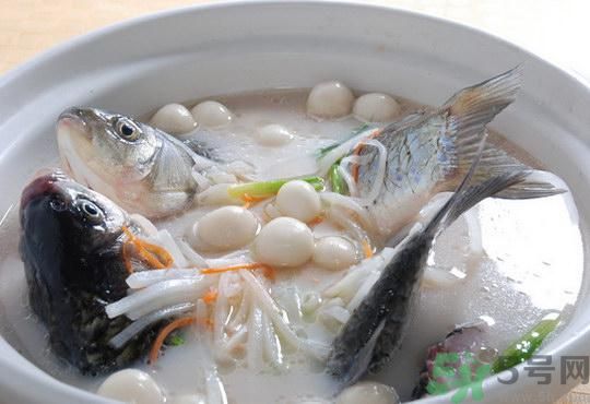 煲魚(yú)湯怎么去腥？家常魚(yú)湯做法有哪些？