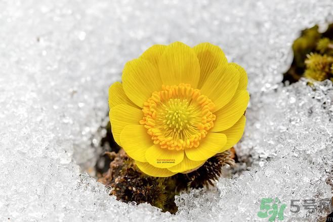 清明節(jié)有哪些習(xí)俗？清明節(jié)習(xí)俗的來源？