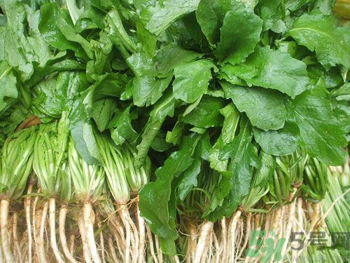 薺菜是發(fā)物嗎？薺菜是不是發(fā)物？