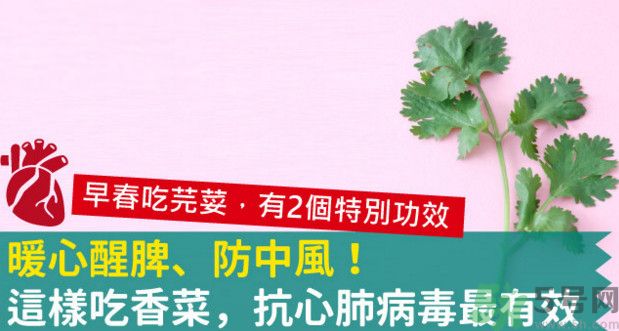 春天吃香菜好嗎？春天吃香菜有什么好處？