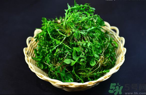 薺菜根能吃嗎？薺菜要去根吃嗎？