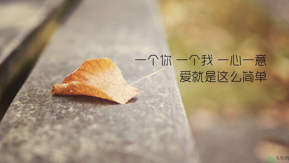 春天你表白了嗎？怎么表白成功率高？