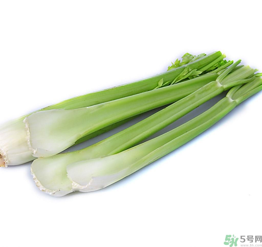 芹菜可以減肥嗎？芹菜有什么功效？