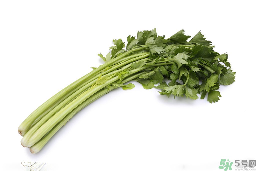 芹菜可以減肥嗎？芹菜有什么功效？