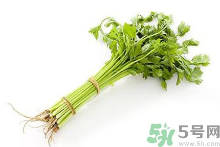 芹菜可以減肥嗎？芹菜有什么功效？