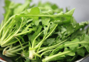 薺菜為什么要焯水？薺菜要用開(kāi)水燙嗎？