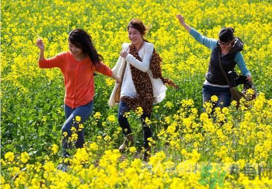 清明節(jié)的習(xí)俗有哪些？清明節(jié)吃什么？