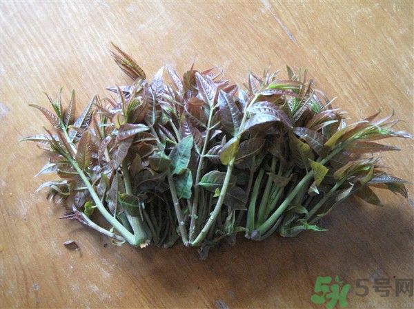 香椿怎么吃才安全？吃香椿的最佳時(shí)間是什么時(shí)候？