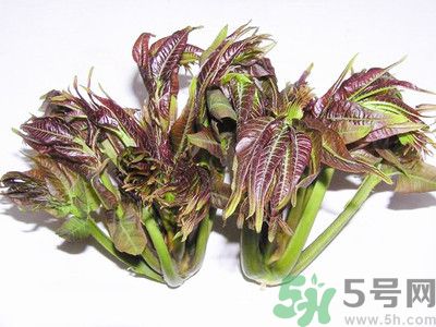 吃香椿有什么好處？香椿可以預(yù)防疾病嗎？