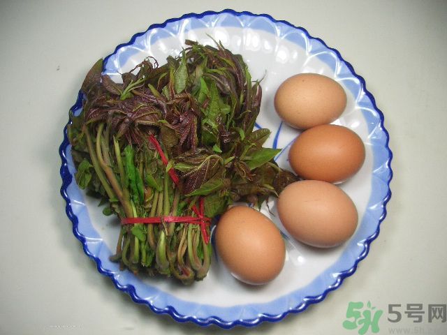 怎么挑選香椿呢？挑選香椿的小竅門？