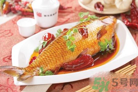 怎么挑選魚？挑魚的技巧有哪些？