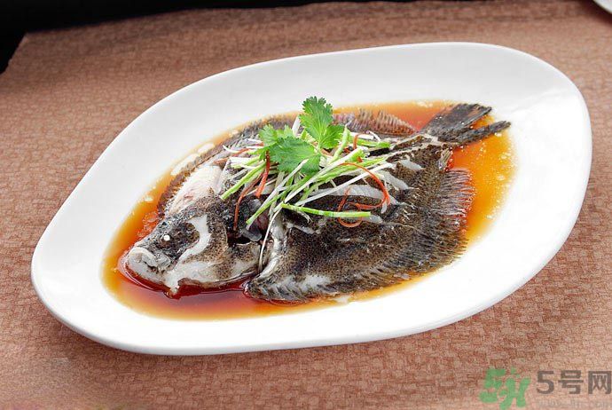 怎么挑選魚？挑魚的技巧有哪些？
