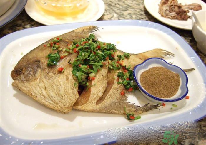 怎么挑選魚？挑魚的技巧有哪些？