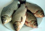 怎么挑選魚？挑魚的技巧有哪些？