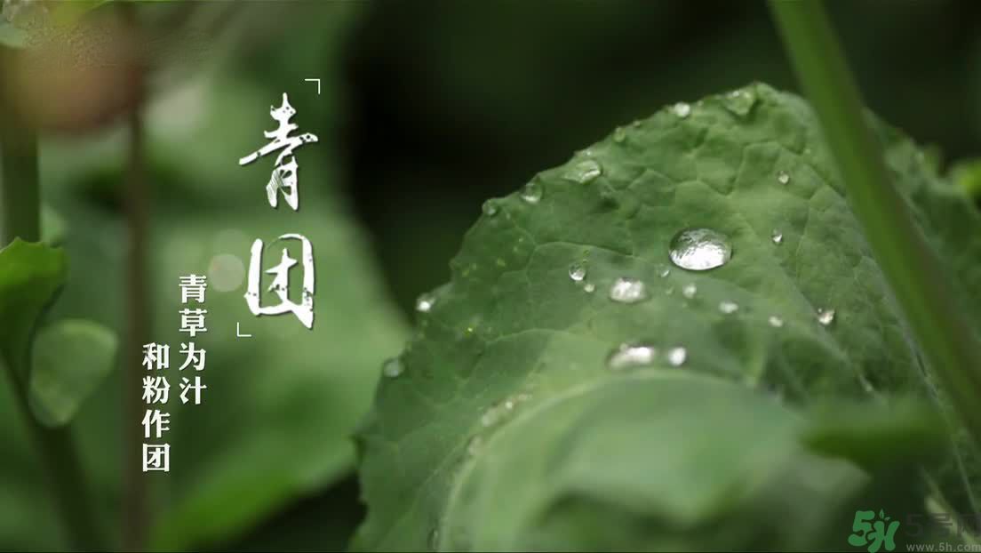 什么人不能吃青團(tuán)？吃青團(tuán)要注意什么？