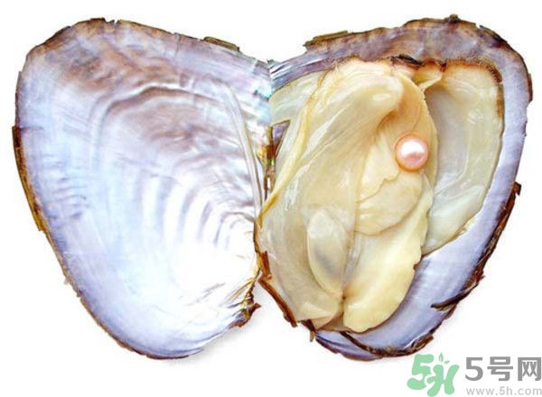 河蚌什么時(shí)候吃最好？吃河蚌有什么好處？