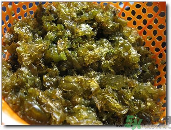 地皮菜怎么清洗干凈？怎樣洗地皮菜？