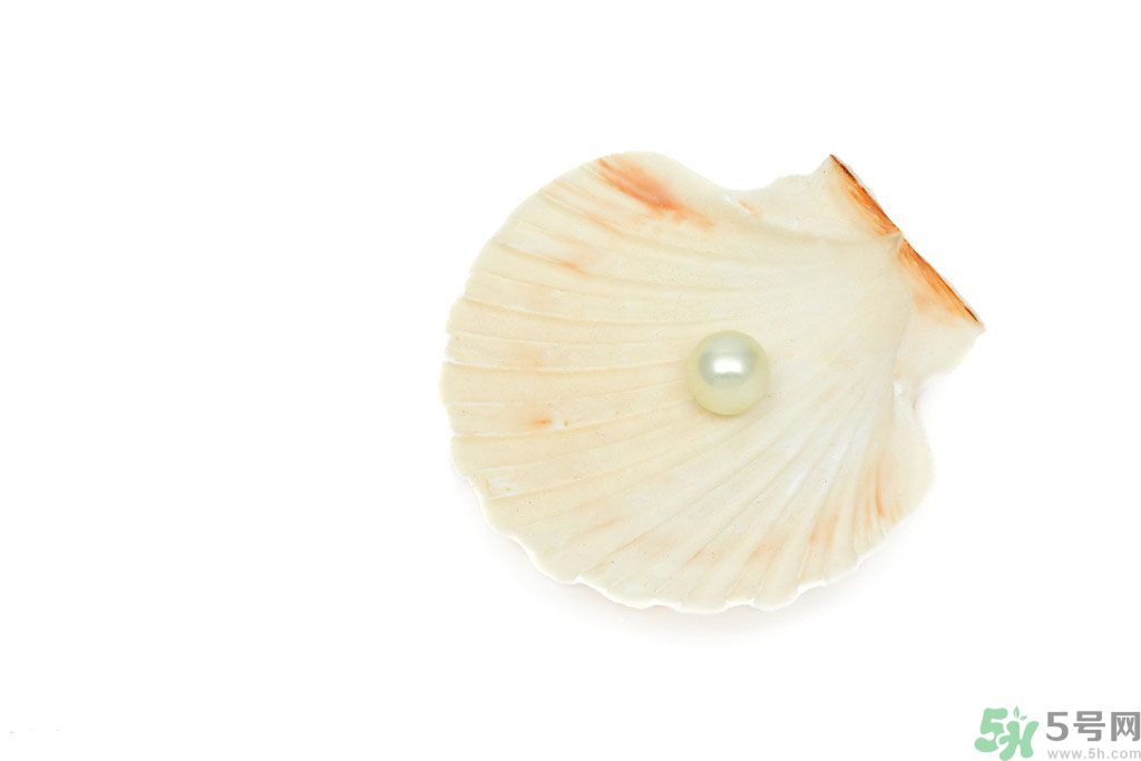 河蚌怎么炒才不會(huì)老？炒河蚌要注意什么？